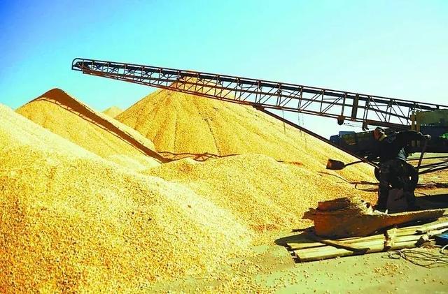 按照《关于做好黑龙江省玉米深加工饲料加工及大豆加工企业收购加工