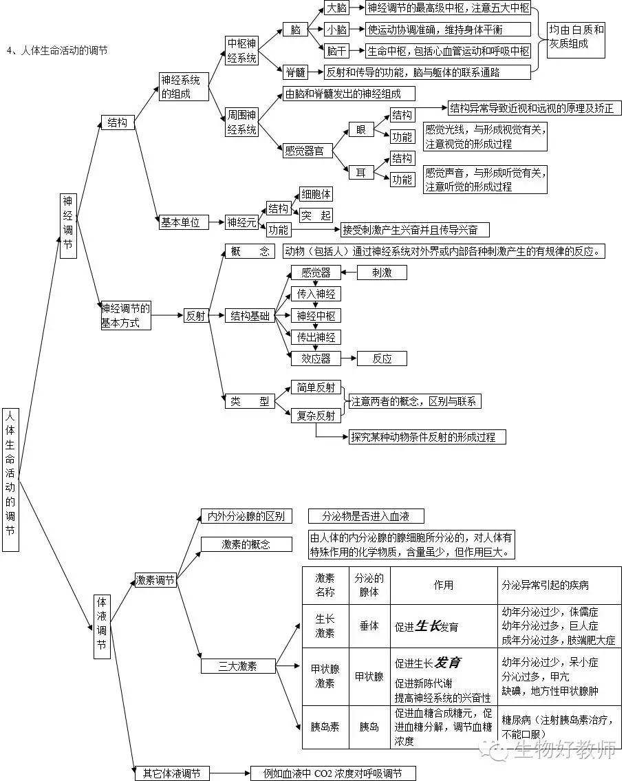 专题六 动物的运动和行为