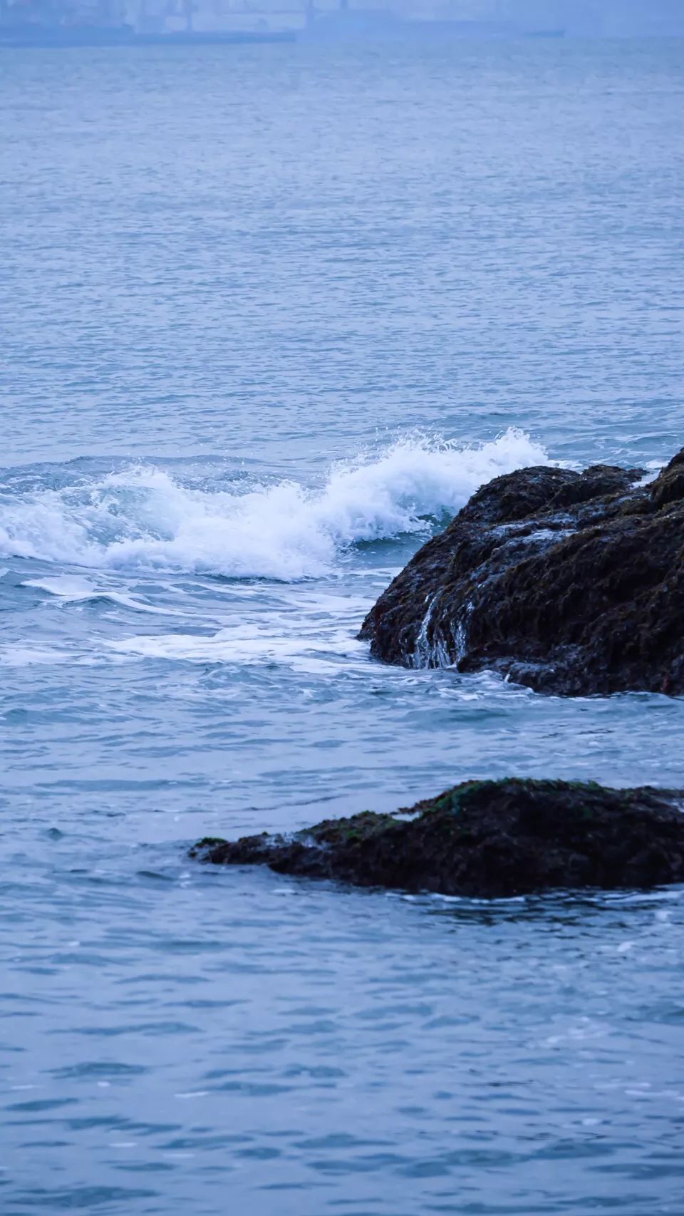 【壁纸】蓝色风景 海鸥不再眷恋大海,可以飞更远