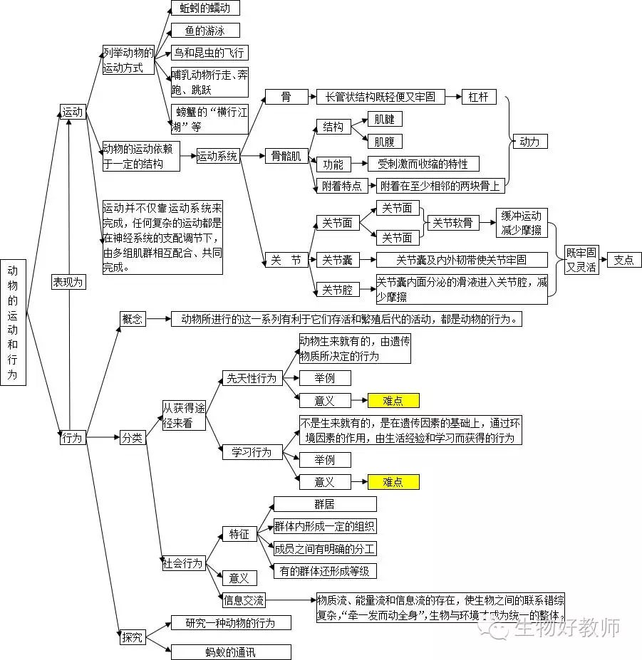 初中生物概念图,绝对实用,快收藏吧!