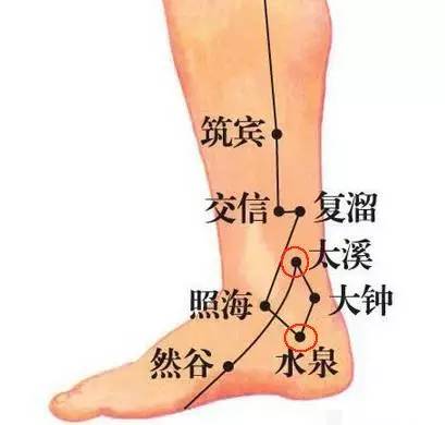 复溜⊙【每日一穴】复溜穴:补肾益阴,温阳利水