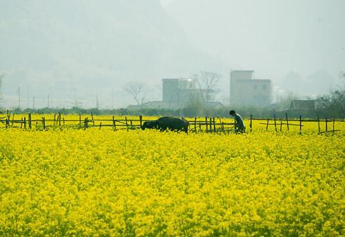 2017年广东省人均gdp_广东2017年GDP达8.99万亿元连续29年居中国首位(2)