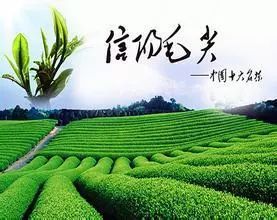 头条第26届信阳茶文化节已经近了茶山上到处是忙碌赶快环行南湾湖吧