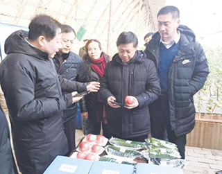 坚持一二三产融合联动 哈尔滨市双城区食品产业结硕果