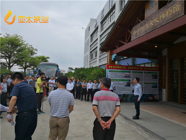 江门市有多少人口_城建再发力 打造 长安街 全国品牌中学落户 高新 一小 要建(2)