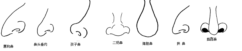 都说富贵在鼻,民间秘传面相过三关 从鼻子看财运