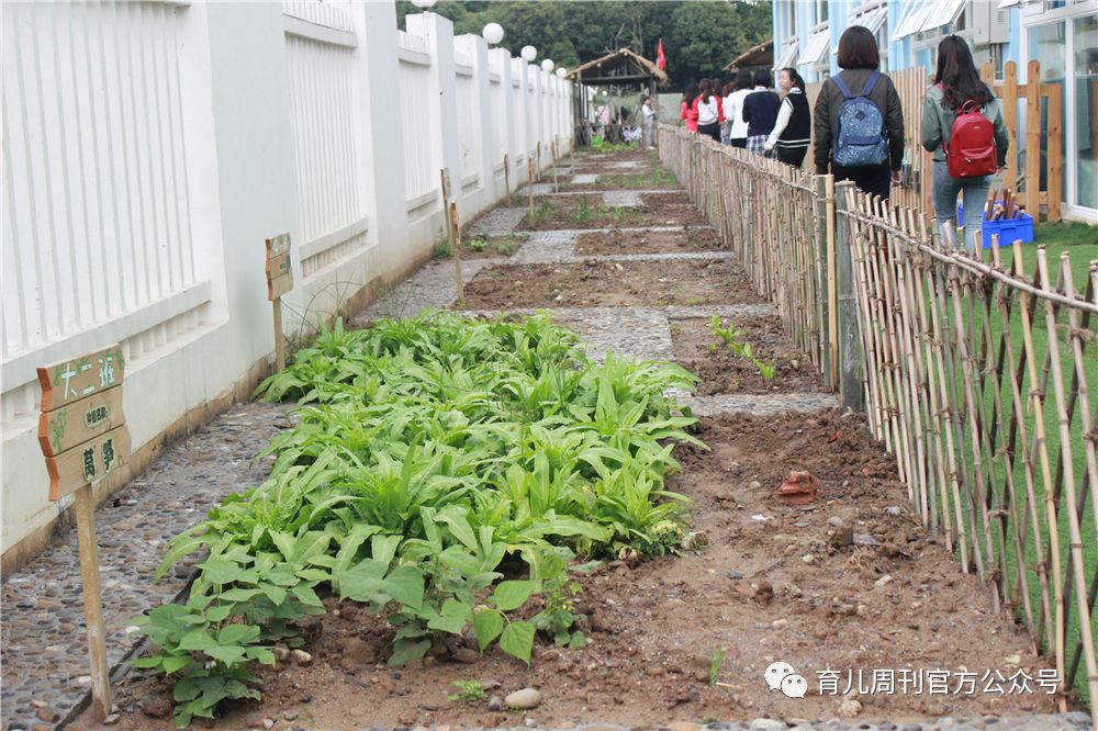 幼儿园的种植园地▲蚕宝宝很可爱▲孩子们超爱的野营地▲孩子们的