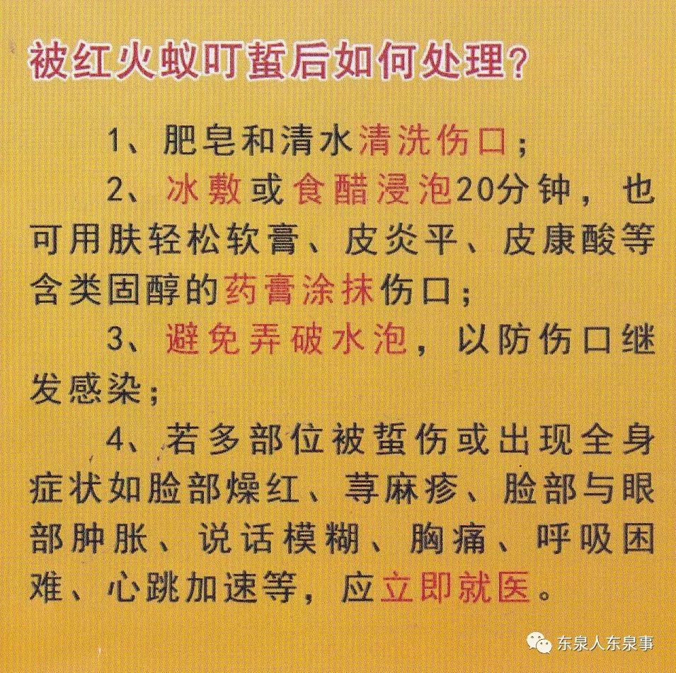 柳城多地发现红火蚁,会攻击人,一定要注意防控了!