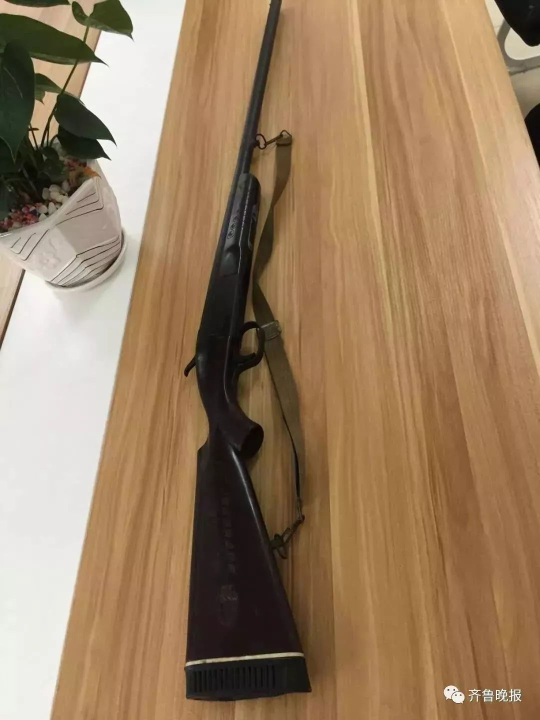 该枪为河南省西峡猎枪厂生产的制式单管猎枪,火药击发,经讯