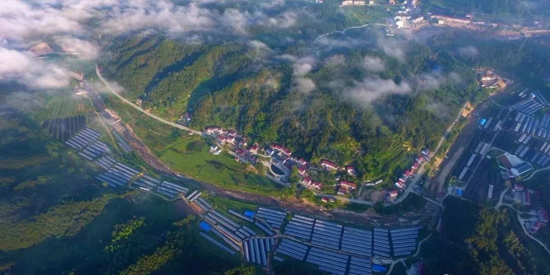 环境优美,物产丰富太平畈乡是霍山石斛的主产地太平畈乡安徽省乡村