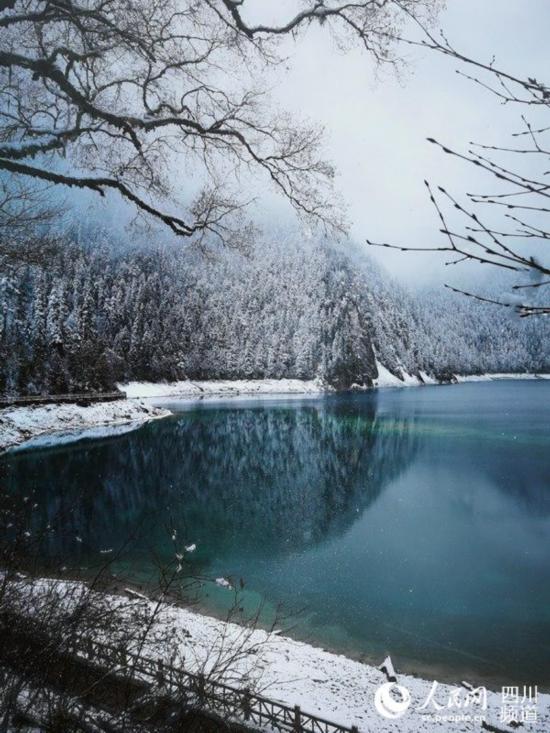 美哭!一场雪后,九寨沟景区宛如童话世界