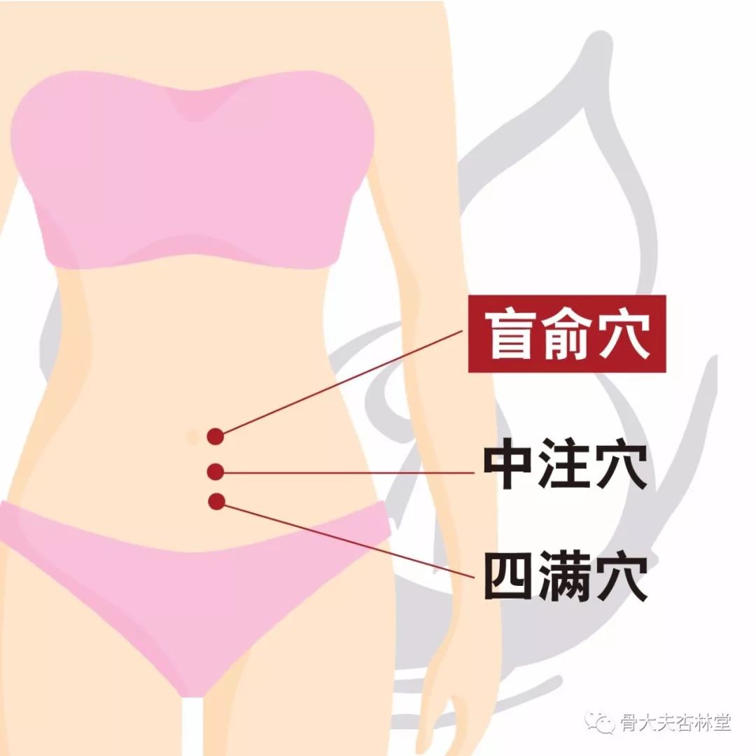 【位置】在腹部,脐中旁开0.5寸.