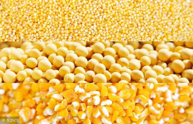 中国为什么要向美国进口玉米大豆?