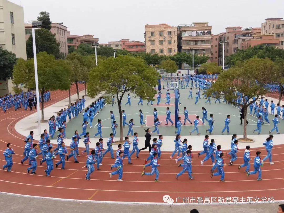 新君豪中英文学校2018年秋季招生报名开始啦