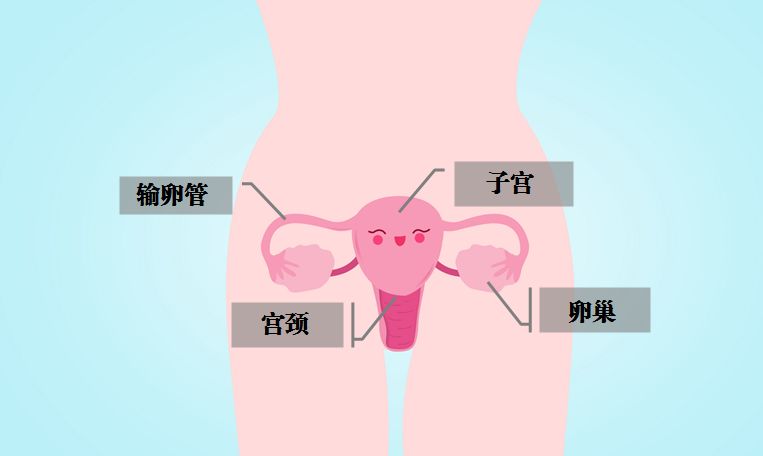 子宫内膜癌切除子宫,怎么把宫颈和输卵管也切了?