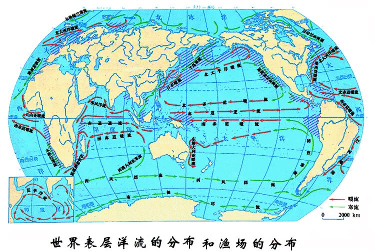 洋流按水温可分为暖流和寒流.