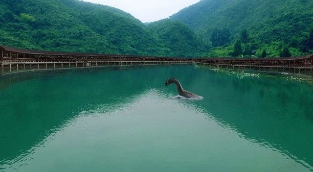 兄弟俩雨天到潭水里面捕鱼,结果惊现一只庞然大物,险些丢掉性命