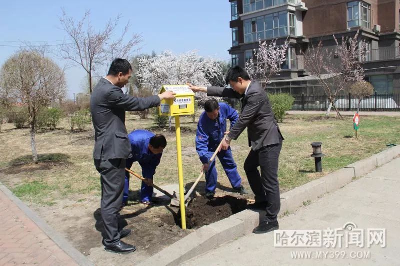 哈爾濱寵物航空箱