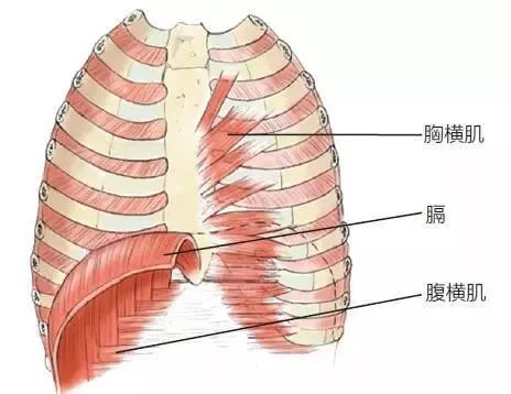 偏气痛怎么办