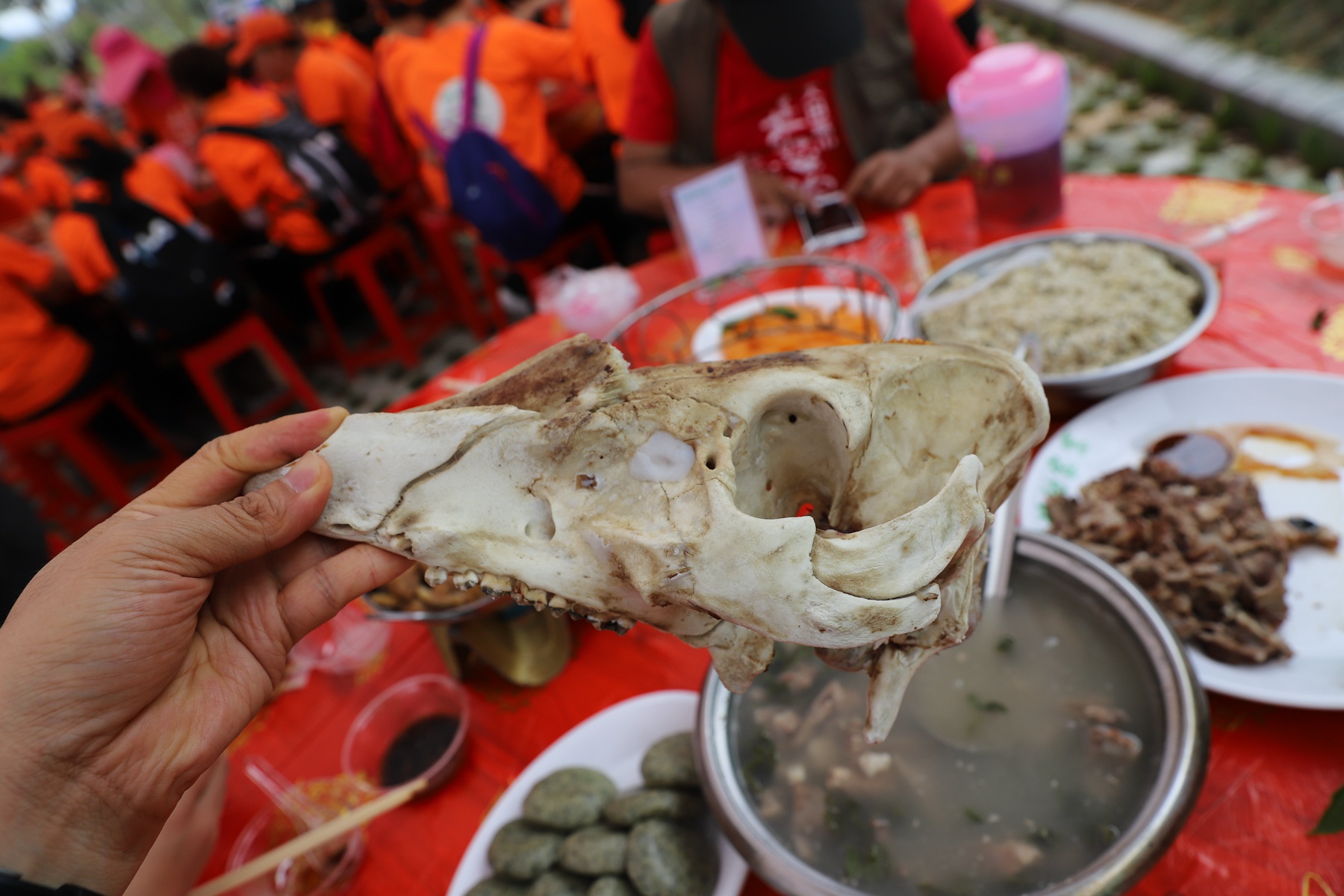 三明大田 | 千米高山上办猪骨肉宴,100多个猪头骨,120张桌子千人餐