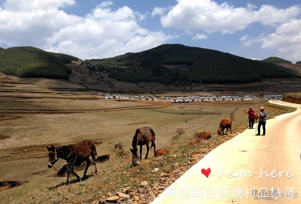 图话昆明 | 寻甸联合乡麻塘村41户村民喜迁新居