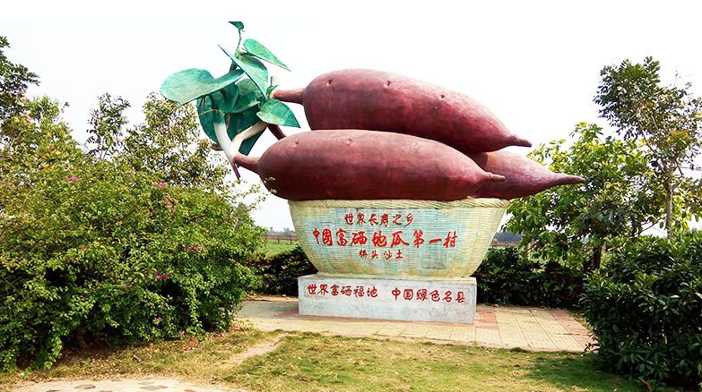 吃了这么多年地瓜全国最贵的一箱地瓜你吃过吗沙土种植长寿地瓜