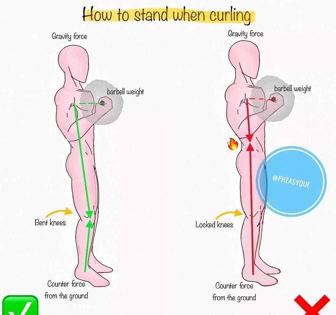 最好的肱二弯举 必须保持中立位
