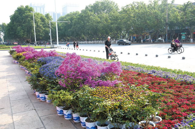 2018年五一劳动节:邯郸四大广场摆放花卉扮靓城市