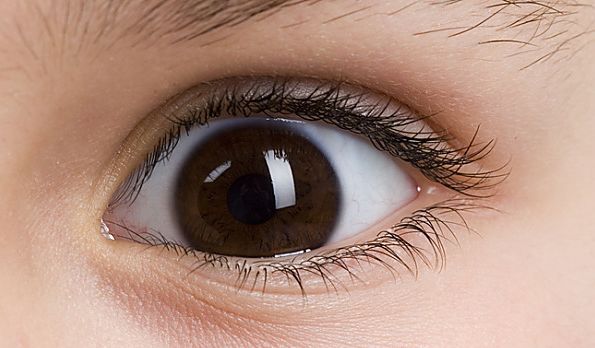 如果你的瞳孔周围是一圈深褐色的虹膜,那就意味著在你的虹膜的最外面