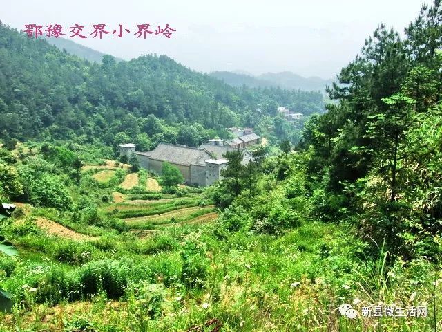 新县沙窝小界岭之殇