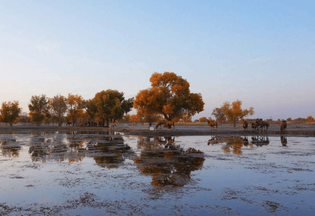 人口最少面积最大的国家_元朝版图最大面积图片