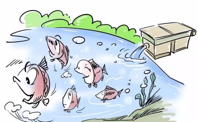 池塘建起"养鱼跑道",常做"有氧运动"的鱼儿产量高
