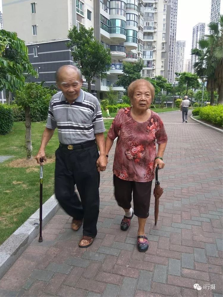 牵手同行风雨路,冷暧相依走人生