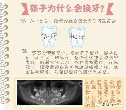 【东北育才幼儿园】孩子换牙期,你一定要知道的那些事