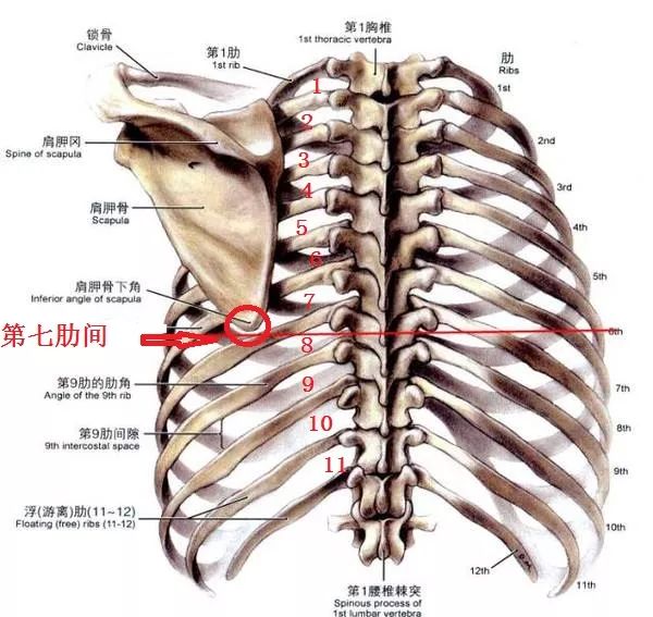 胸腔穿刺术⊙赶快收藏,胸腔穿刺史上最全总结!