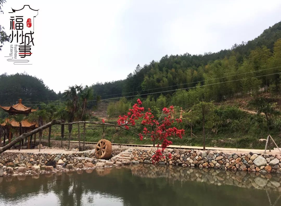 福州周边自驾2h居然有个轻奢农谷!古溪,赏花,稻草迷宫