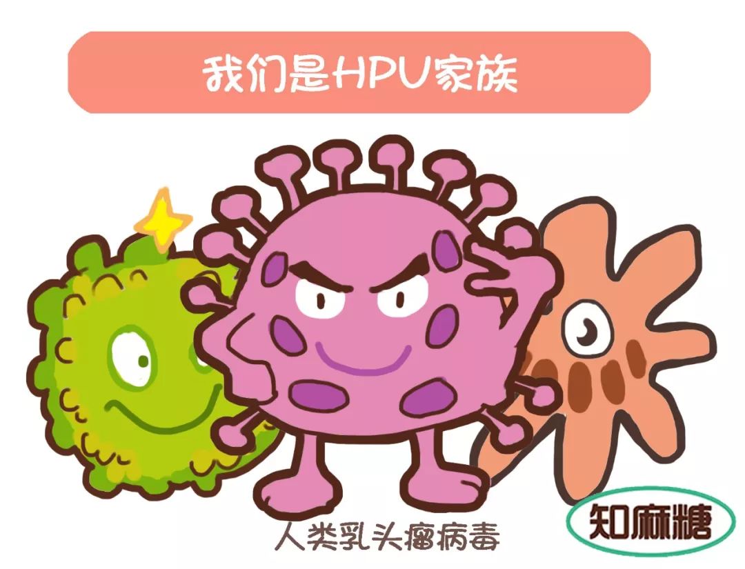 宫颈癌?hpv?你想了解的信息都在这里!