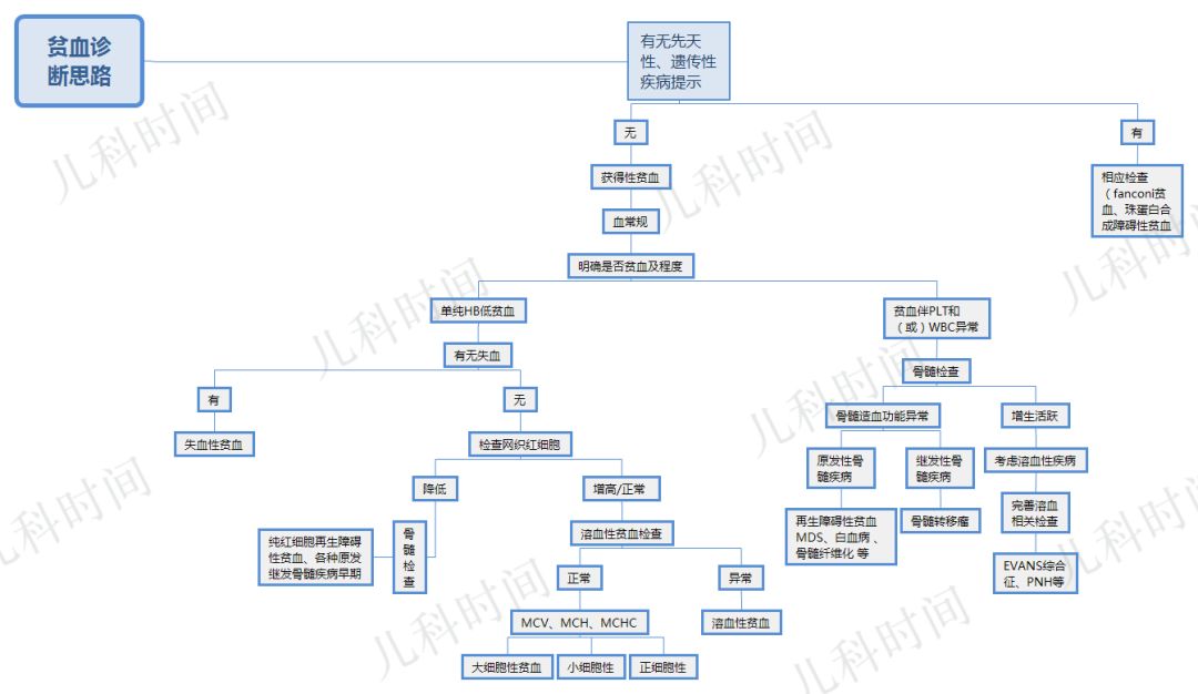 儿童贫血如何考虑?7 张图教你搞定诊断和治疗