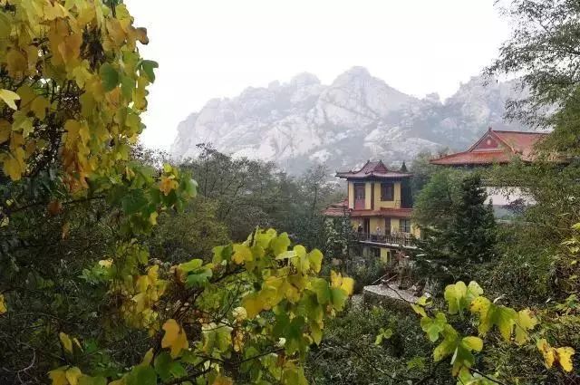 智藏寺地处大泽山风景区内,海拔430米的腹地瑞云峰前,有上下错落的两