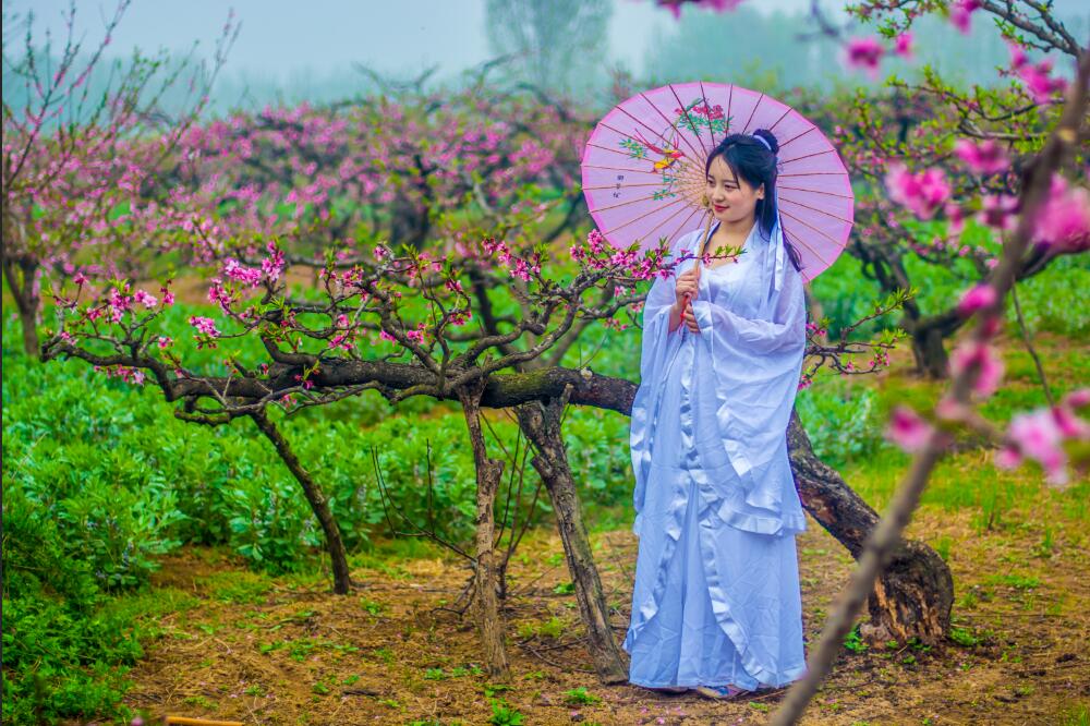 桃花岛