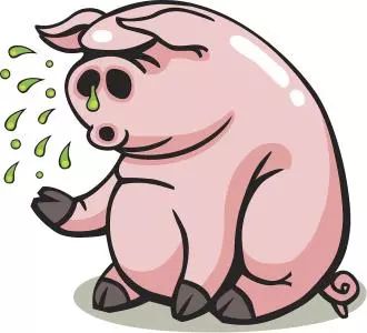 猪流鼻涕,咳嗽,是流感还是普通感冒?