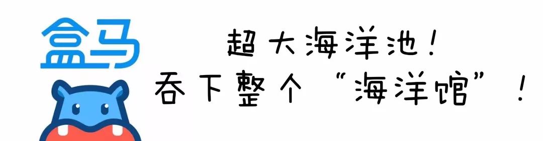 就在今天!盒马鲜生强势登陆古城西安,跟着嘉哥逛吃买!