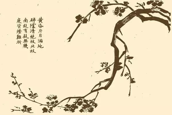 古代画梅高手是如何绘制梅花的?