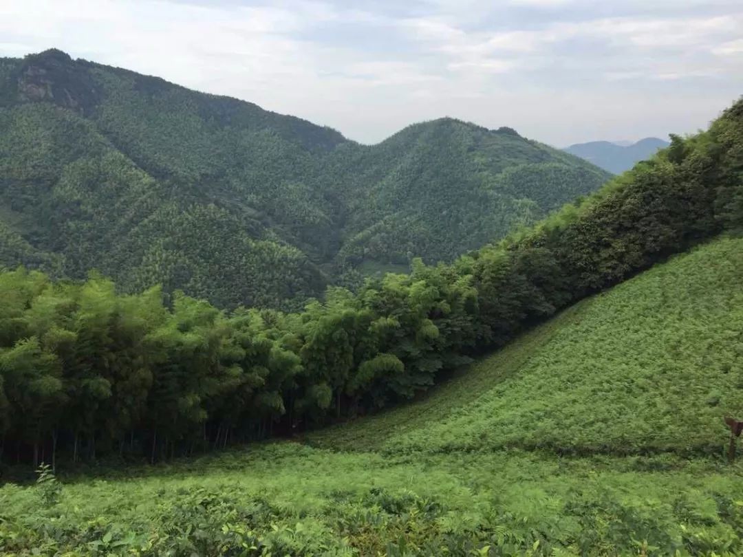 诸暨竟然藏着一个绝世胜地还能看云海太美了