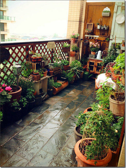 我的"阳台小花园",一摆弄好有意境啊!