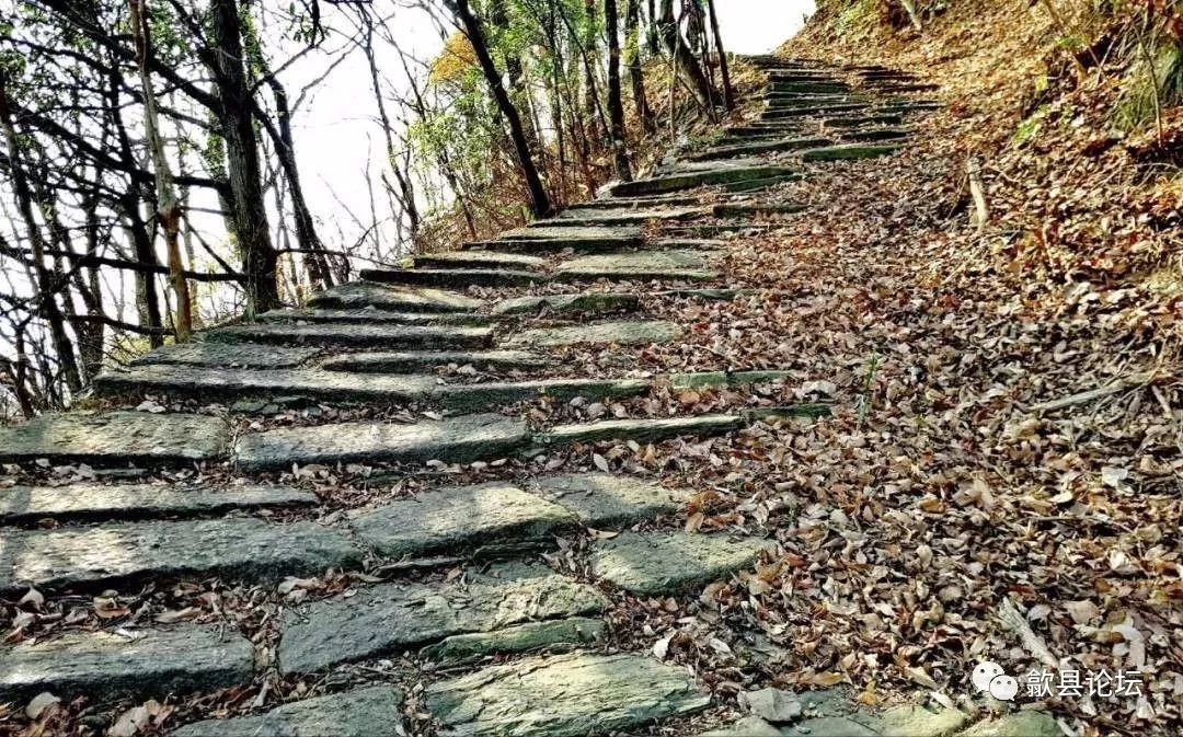 徽州古道祁门大洪岭古道这条官道真阔气