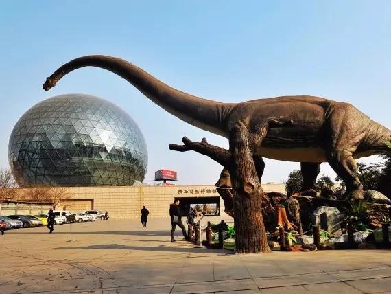 top5 陕西自然博物馆看恐龙化石