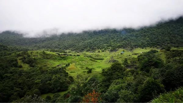 马边县有多少人口_百县千村行 从输血到造血 让贫困户有家还有业