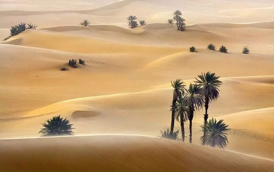 科普 | 撒哈拉沙漠面积因气候变化而扩大10%