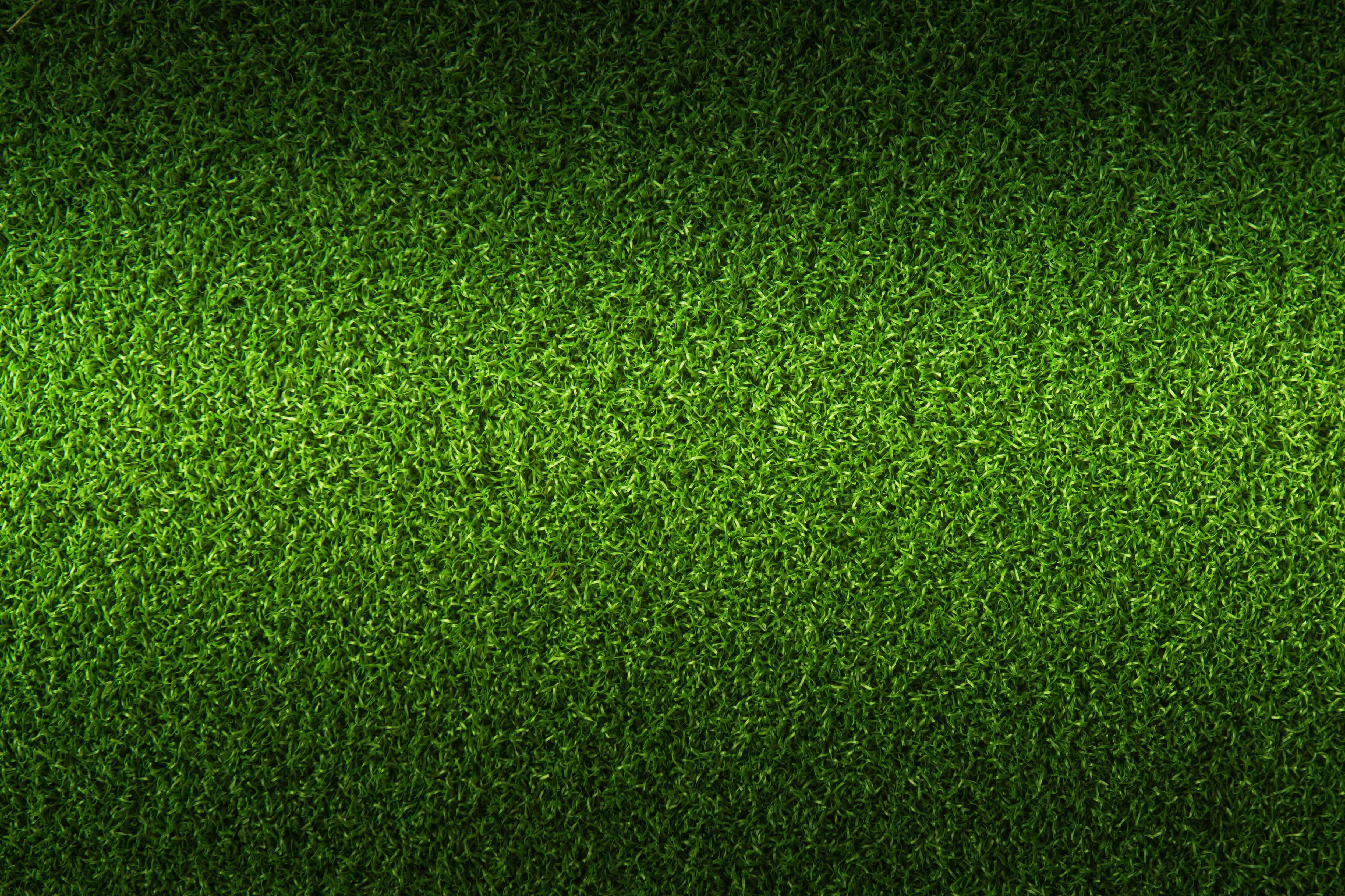 自然绿草超清壁纸,自然风光图片背景,没几个看过的?